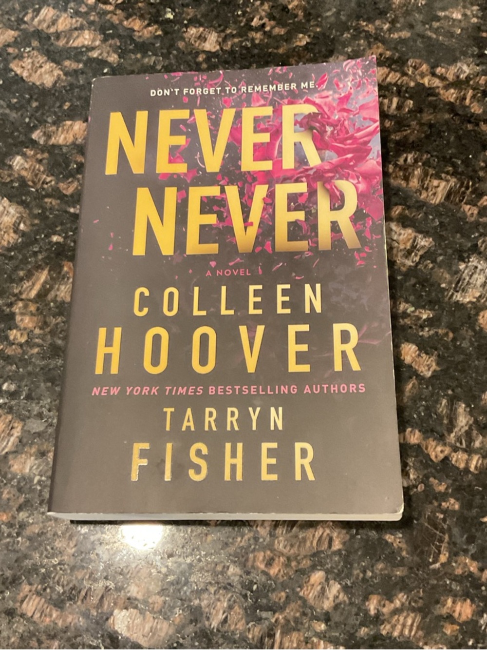 Never Never by Colleen Hoover & Tarryn Fisher